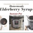 Instant Pot- Homemade ELDERBERRY Syrup